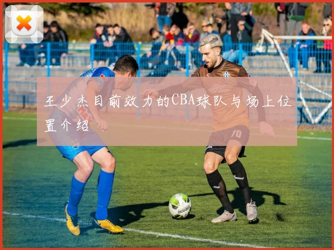 王少杰目前效力的CBA球队与场上位置介绍