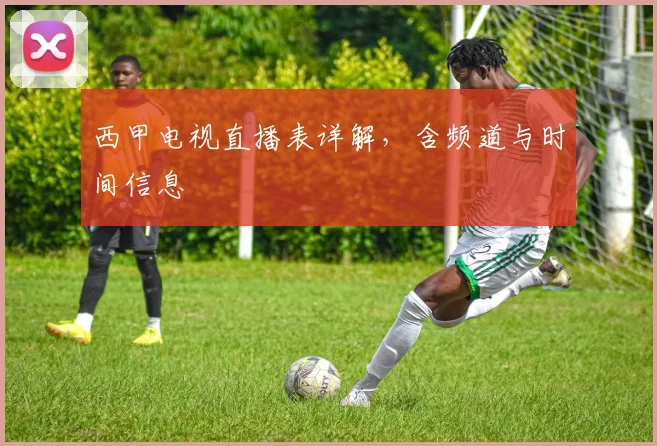 西甲电视直播表详解,含频道与时间信息